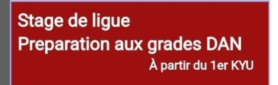 Stage prépa 1er et 2ème DAN à ALLONES
