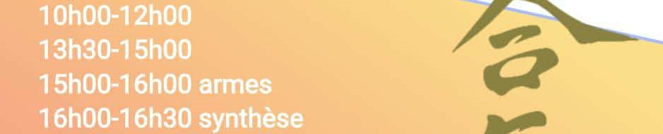 STAGE WAKAI (jeunes) du 07 Mars 2026