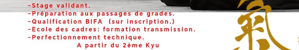 Stage YUDANSHA du 08 NOVEMBRE 2026